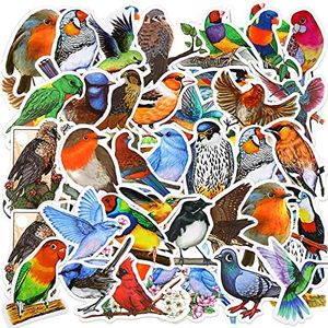 200 Pcs Birds Stickers Cute Animals Stickers Cartoon Birds Vinyls Decal Waterproof Birds Sticker for Kids Teen Water Bottles Laptop Luggage Phone Skateboard Refrigerators Computer