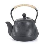 MILVBUSISS Cast Iron Teapot, 20oz T