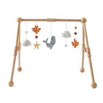 Promise Babe Play Gym for Newborn Babies,Wooden Baby Gym Play Arch Detachable Sea Animals Baby Gym Toys,Baby Crib Activity Gym Standing Toys Plush Coral Whale Dolphin Activity Gym Newborn Birth Baby