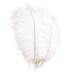 YuZhou 10 PCS Natural Ostrich Feathers, 20-25cm/7.9-9.8inch Wedding Feathers Plume Feather Party Table Feathers Dyed Ostrich Feathers White Feathers Feathers for Centerpieces for Home Wedding Party