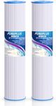 PUREPLUS 20" x 4.5" Whole House Pleated Sediment Filter for Well Water, Replacement Cartridge for ECP5-BB, AP810-2, HDC3001, SPC-45-1005, CP5-BB, ECP1-20BB, 2Pack