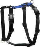 Blue-9 Buckle-Neck Balance Harness, Fully Customizable Fit No-Pull Harness, Ideal for Dog Training and Obedience, Made in The USA, Blue, Medium/Large