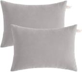 BEDSUM 2 Pack Pillows, 13"x18" Microfiber Pillows for Travel, Pet, Soft and Machine Washable Small Pillows for Neck, Wrist, and Knee Comfort, Light Grey