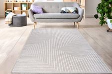 Ladole Rugs Sold Pattern Home Decor Indoor Area Rug - Premium 6x8 Carpet for Living Room, Bedroom, Dining Room, Kitchen, and Office - Grey, 6x9 (6'7" x 9'6", 200cm x 290cm)