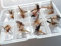 BestCity Fly Fishing DRY FLY WICKHAMS FANCY Set of 16 flies with Clip shut Fly Box