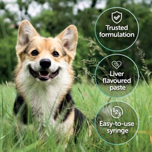 Protexin Pro-Kolin Gut Paste for Pets, 15ml