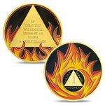 1 Year Sobriety Coin Flames Sobriety Chip One Year AA Coins and Medallions Recovery Sobriety Gifts for Men Women