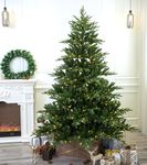 Full Shape Nordmann Fir Christmas Tree (7ft Pre-lit)