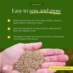 Lawn UK Hardwearing Grass Seed 500g – Durable Lawn Repair