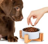 Black Rhino Elevated Ceramic Pet Bowl - Modern Pink Dog & Cat Feeding Bowls with Bamboo Stand - Weighted & Durable - Perfect Size for Cats and Small to Medium Dogs - Gray, neater Feeder Medium Dog