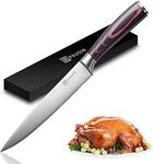 Slicing Carving Knife - PAUDIN Razo