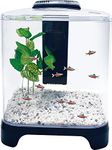 PENN-PLAX NuWave Betta Fish Tank Kit with LED Light and Internal Filter – Black – 1.5 Gallon