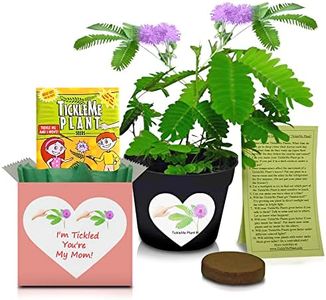 TickleMe Plant Gift Box Set – Mother's Day or Birthday Gift for Mom - Grow The Plant That Closes Its Leaves When You Tickle or Blow It a Kiss! It can Flower! Say 'I'm Tickled You're My Mom!'