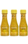 biswa bangla - where the world meets bengal Kasundi 100gm - Pack of 3