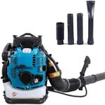 Professional 100cc 4-Stroke Gasolin