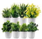 WYTE ORIGIN 8 Pack Artificial Plastic Eucalyptus Plants Small Indoor Potted Houseplants, Small Faux Plants for Home Decor Bathroom Office Farmhouse (Set 0F 8)