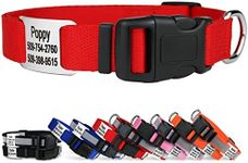 GoTags Personalized Dog Collar with