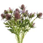 HUIANER 2 Stems Artificial Thistle Spray Eryngium Flowers Artificial Real Touch Eryngium Artificial Sea Holly Flowers for Wedding Bridal Bouquet Wreath Table Centerpiece Outdoor Decor (Purple)