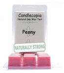 Candlecopia Scented Candles