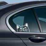 WIRESTER 6 inch Clear Vinyl Decal Sticker Decoration for Car Window (Or Any Flat Surface) - Black Bombay Kitten Cat