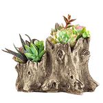 Aclema Succulent Planters Driftwood Planter Succulent Pots Small Plant Flower Cactus Pots Tree Stumb Wood Planter with Drainage Hole