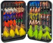 Raprance Fly Fishing Flies Kit with Fly Box，48/64/66/100 Fly Fishing Flies Assortment for Bass Trout Salmon Fishing (64 pcs Flies kit with Magnetic Fly Box)