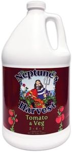 Neptune’s