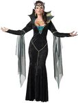 California Costumes 1231 Witch/Wizard Adult-sized Costume, Solid, Multi-Colored, XL