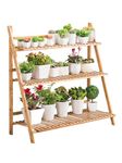 Ladder Stand For Decor