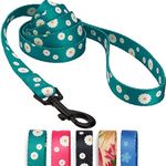 CollarDirect Floral Dog Leash Nylon Pattern Flower Print Adjustable Pet Leashes for Dogs Small Medium Large Puppy (L, Aquamarine)