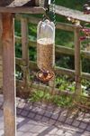 Bottle Top Bird Feeder Kit