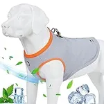 JUXZH Truelove Dog Cooling Vest Har
