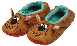 bioworld Men Slippers