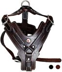 PESHOUCO Leather Dog Harness Handma