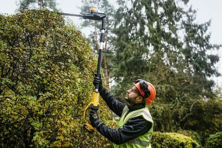 DEWALT XR 18V Cordless Pole Hedge Trimmer – Lightweight, Powerful
