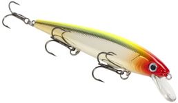 Strike King KVD Jerkbait 3 Hook, Clown, 5.5-Inch by Strike King