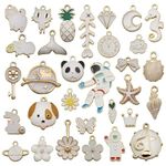 Street27 Metal 1 Set 31Pcs Diy Mixed Assorted Gold Plated Enamel Charm Unicorn Flower Dress Fish Shell Moon Star Animals Pendant Diy For Necklace Bracelet Jewelry Making And Crafting Charms (White)