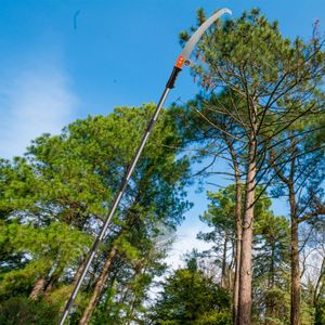 Walensee Pole Saw, 426cm Extendable Tree Pruner