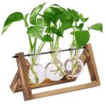 HASTHIP® 3Pcs Hydroponics Glass Planter with Wooden Stand for Desktop Table Decor Home Office, Plant Terrarium, Air Planter Bulb Glass Vase for Propagating Money Plant, Flower and More