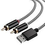 USB to 2 Male RCA Audio Aux Cable f