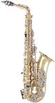 Selmer SAS301 Student Alto Saxophon
