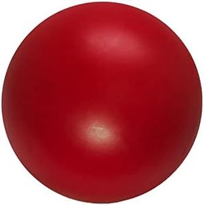 Doggie Dooley Virtually Indestructible Best Ball for Dogs, 8 inch (Colors Vary) (1008)
