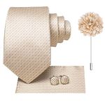 Hi-Tie Silk Champagne Ties for Men 4 PCS Geometric Mens Ties and Flower Lapel Pin Pocket Square Cufflinks Set Wedding Tie