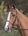 Shires Aviemore Plain Bridle With Rubber Grip Reins - Havana: Small Pony