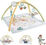 Fisher-Price Baby Playmat Simply Se