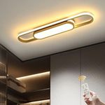 Jiinoo Modern LED Flush Mount Ceiling Lights Dimmable 27.5 Inch Gold Ceiling Lamp Acrylic Linear Chandelier Lighting Fixture for Living Room Kitchen Dining Room (40W/3000-6500K)