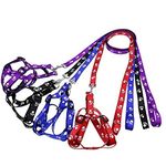 Petlicious & More 15 mm Paw Print Nylon Puppy Harness & Leash Set for Small & Medium Dogs (Color May Vary)