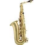 Jinbao JBAS200L Alto Saxophone, Lacquered