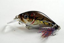 Akuna Muskie Lure