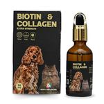 Collagen For Dogs